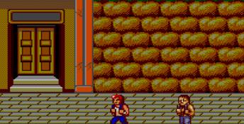 Double Dragon Sega Master System Screenshot