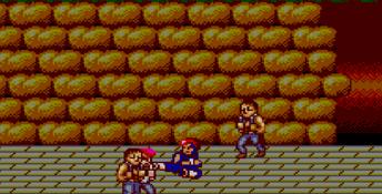 Double Dragon Sega Master System Screenshot