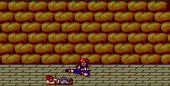 Double Dragon Sega Master System Screenshot