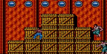 Dragon: The Bruce Lee Story Sega Master System Screenshot