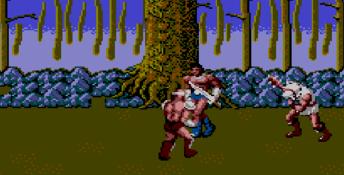 Golden Axe Sega Master System Screenshot