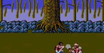 Golden Axe Sega Master System Screenshot