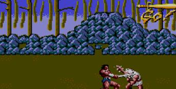 Golden Axe Sega Master System Screenshot