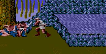 Golden Axe Sega Master System Screenshot
