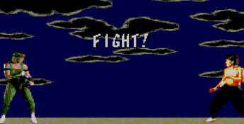 Mortal Kombat Sega Master System Screenshot