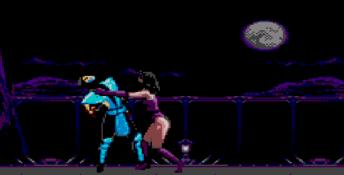 Mortal Kombat 2 Sega Master System Screenshot