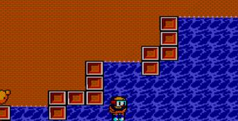 The New Zealand Story Sega Master System Screenshot