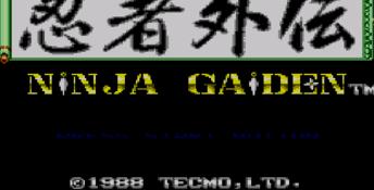 Ninja Gaiden Sega Master System Screenshot