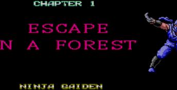 Ninja Gaiden Sega Master System Screenshot
