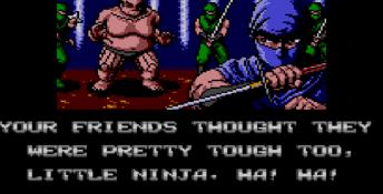 Ninja Gaiden Sega Master System Screenshot