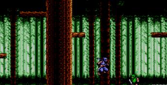 Ninja Gaiden Sega Master System Screenshot