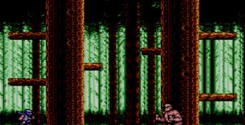 Ninja Gaiden Sega Master System Screenshot