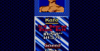 Pit Fighter (1991) Sega Master System Screenshot