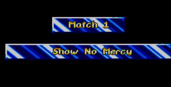 Pit Fighter (1991) Sega Master System Screenshot