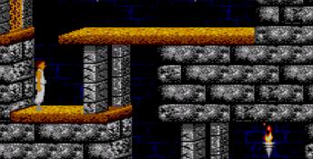 Prince of Persia Sega Master System Screenshot