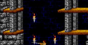 Prince of Persia Sega Master System Screenshot