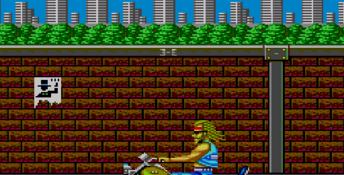 Renegade Sega Master System Screenshot