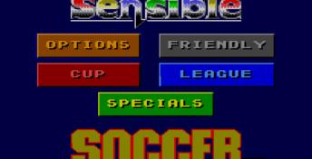 Sensible Soccer (1993) Sega Master System Screenshot