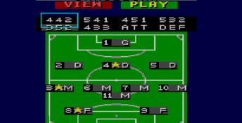 Sensible Soccer (1993) Sega Master System Screenshot