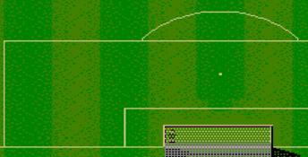 Sensible Soccer (1993) Sega Master System Screenshot