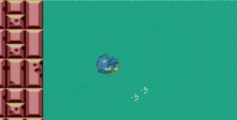 Sonic The Hedgehog 2 Sega Master System Screenshot