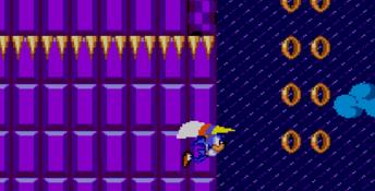 Sonic The Hedgehog 2 Sega Master System Screenshot