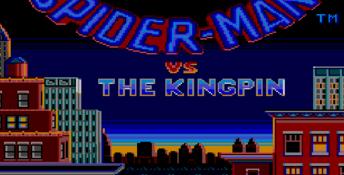 Spider-Man vs. the Kingpin Sega Master System Screenshot