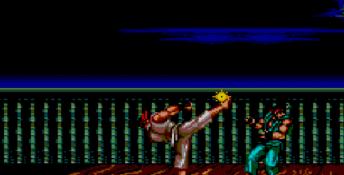 Street Fighter 2 Sega Master System Screenshot