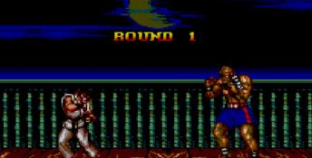 Street Fighter 2 Sega Master System Screenshot