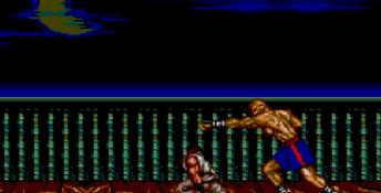 Street Fighter 2 Sega Master System Screenshot