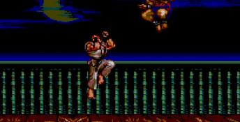 Street Fighter 2 Sega Master System Screenshot