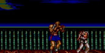 Street Fighter 2 Sega Master System Screenshot