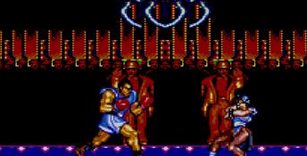 Street Fighter 2 Sega Master System Screenshot