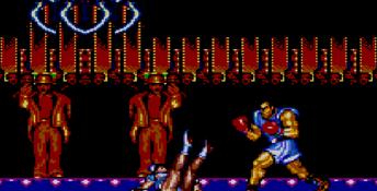 Street Fighter 2 Sega Master System Screenshot