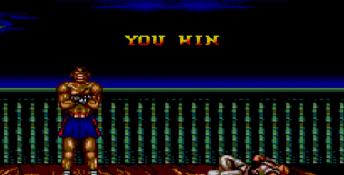 Street Fighter 2 Sega Master System Screenshot