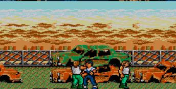 Vigilante Sega Master System Screenshot
