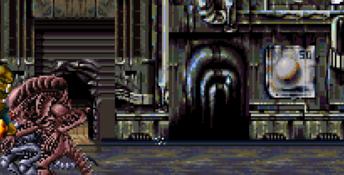 Alien vs Predator SNES Screenshot