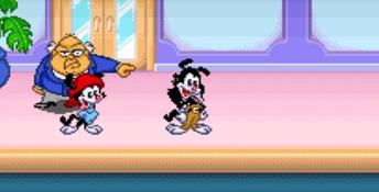 Animaniacs SNES Screenshot