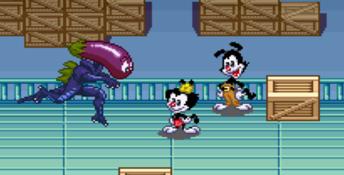 Animaniacs SNES Screenshot