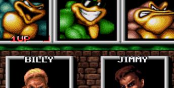 Battletoads & Double Dragon: The Ultimate Team