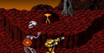 Battletoads in Battlemaniacs