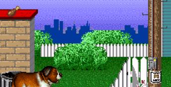 Beethoven's 2nd SNES Screenshot
