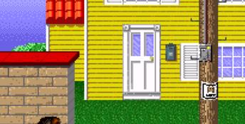 Beethoven's 2nd SNES Screenshot