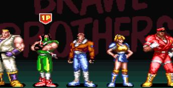 Brawl Brothers