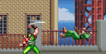 Brawl Brothers SNES Screenshot