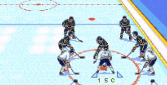 Brett Hull Hockey
