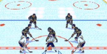 Brett Hull Hockey