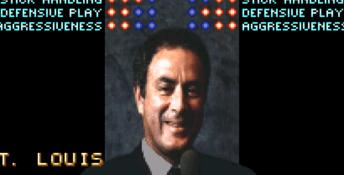 Brett Hull Hockey SNES Screenshot