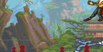Brutal: Paws Of Fury SNES Screenshot