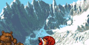 Brutal: Paws Of Fury SNES Screenshot